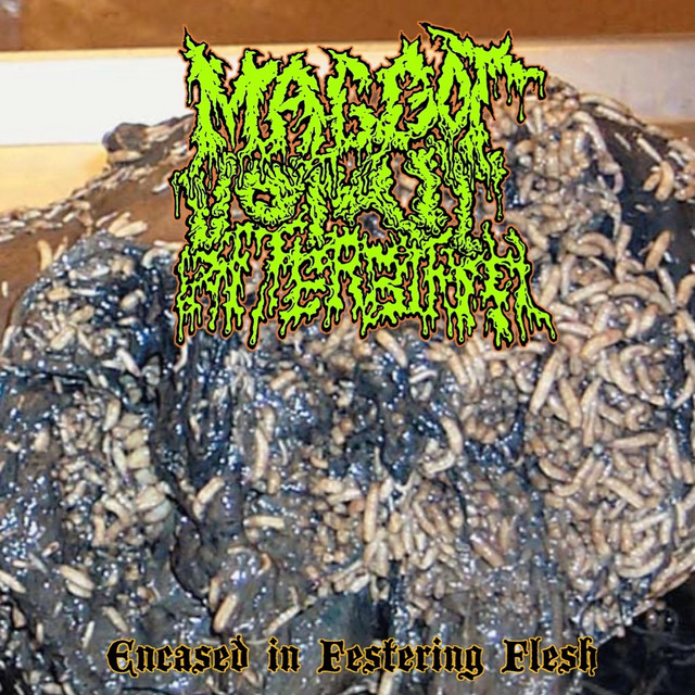 Encased In Festering Flesh cover art