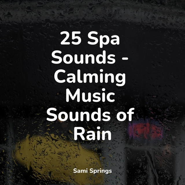 25 Spa Sounds - Calming Music Sounds of Rain - Album by The Sleep ...