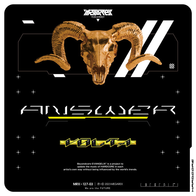 Answer cover art