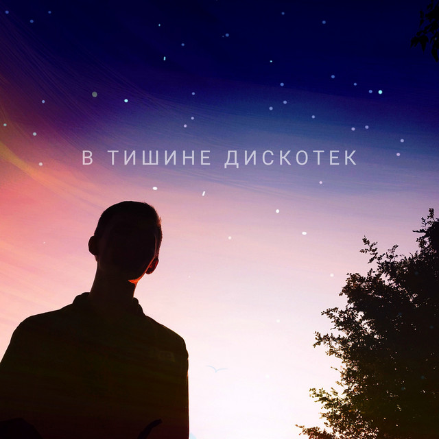 В тишине дискотек cover art