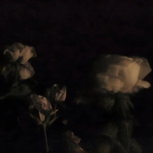seasons