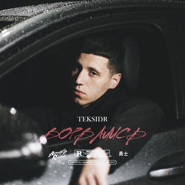 Обкладинка TEKSIDR — Ворвались