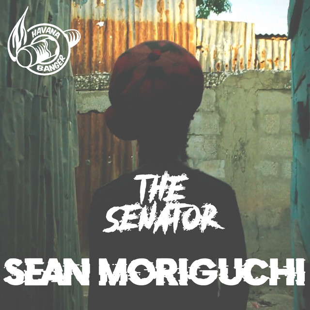 The Senator