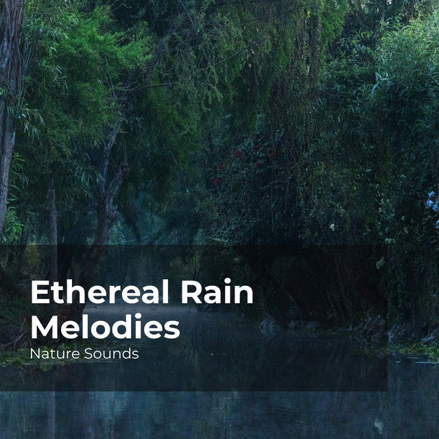 Ethereal Rain Melodies - Album by Nature Sounds | Spotify