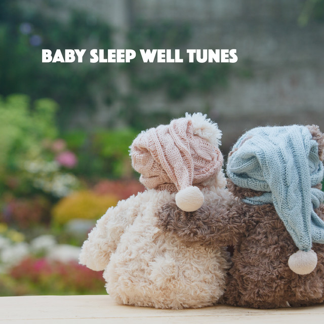 Baby Sleep Well Tunes cover art