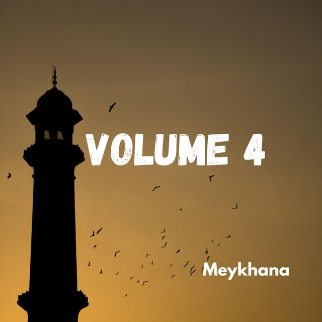 Volume 4 cover art