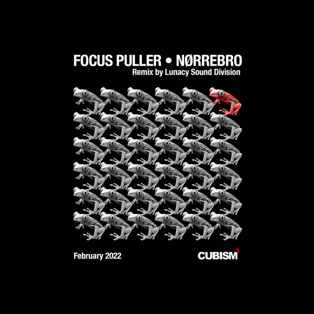 Focus Puller