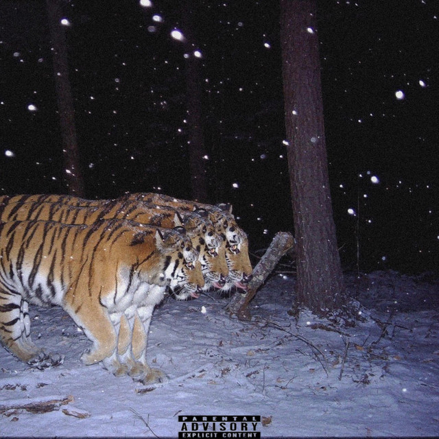 WHITETIGER cover art