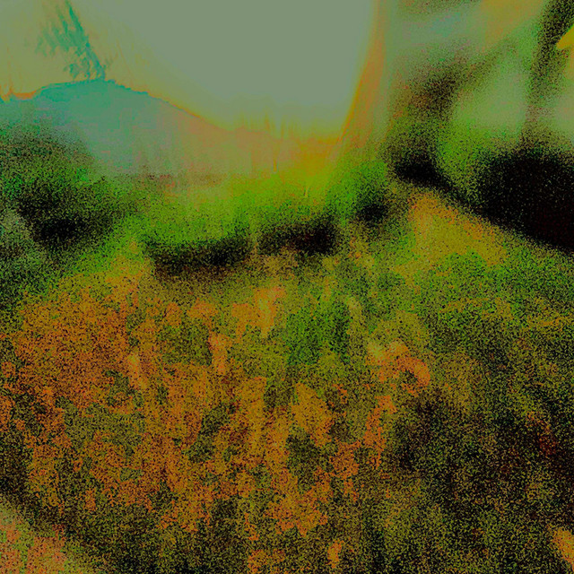 HelloShank cover art