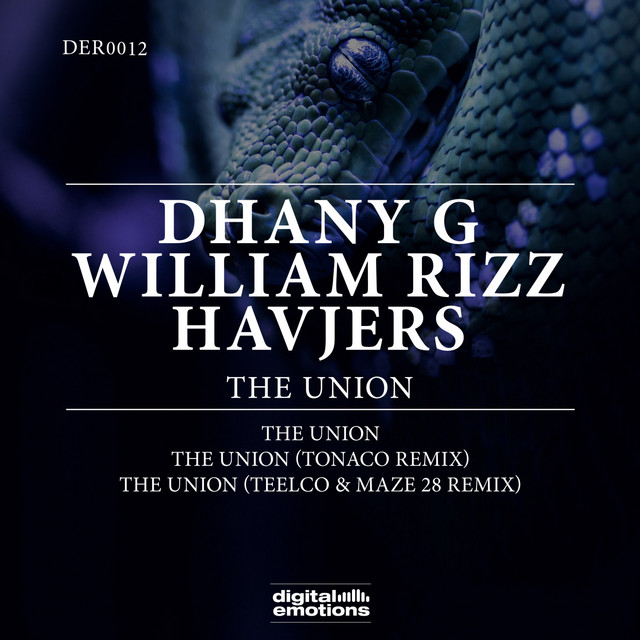 The Union - TEELCO & Maze 28 Remix album art