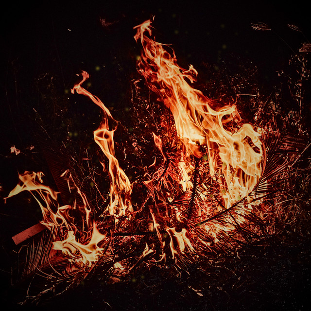Crossfire cover art