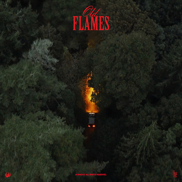 Old Flames - Upcoming Album by La Roux | Spotify