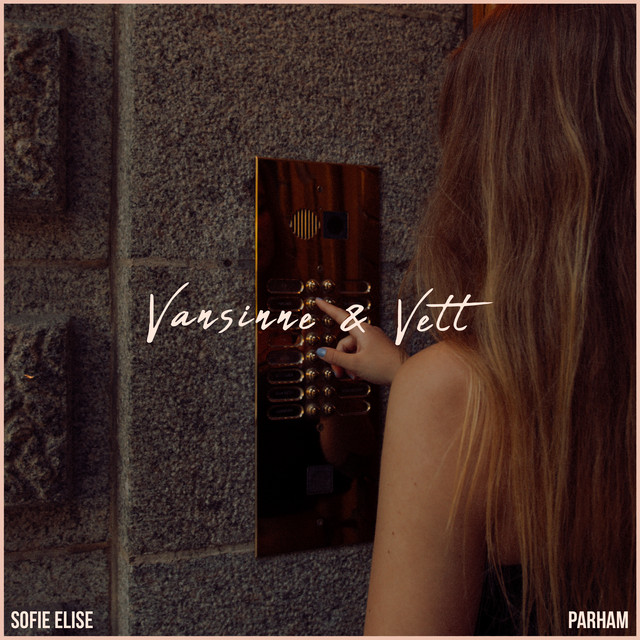 Vansinne och Vett cover