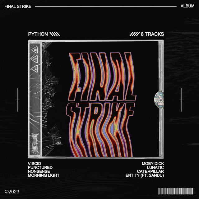Final Strike cover art