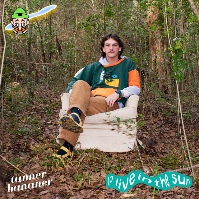 To Live in the Sun cover art
