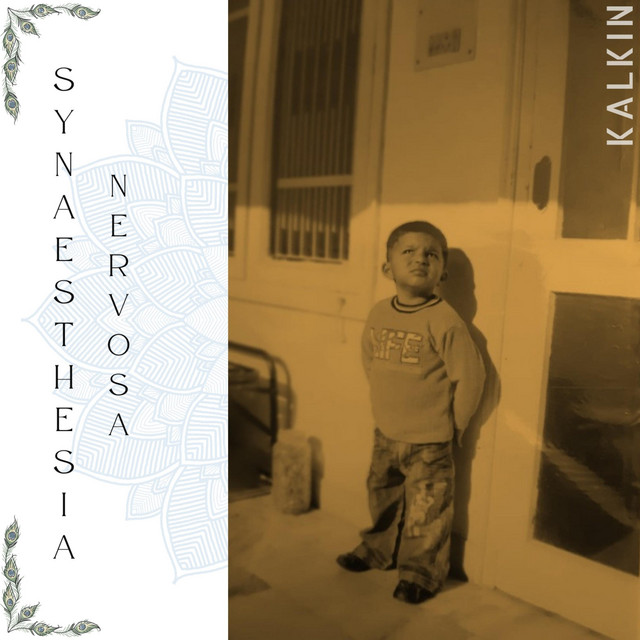 Synaesthesia Nervosa cover art