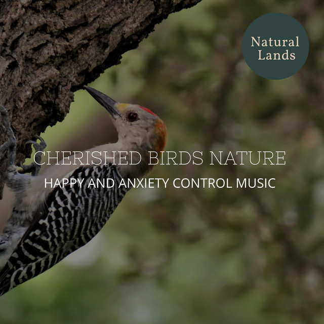 Cricket Hums to Aid Sleep cover art