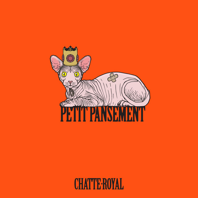 Chatte Royal Photo