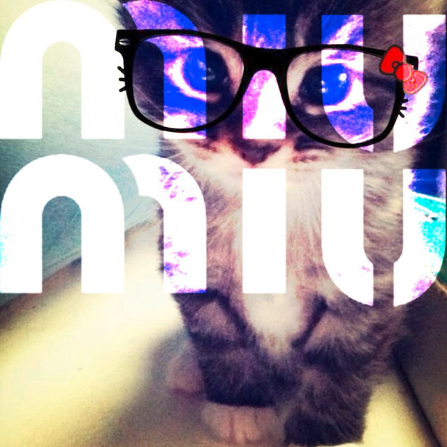 MIU MIU