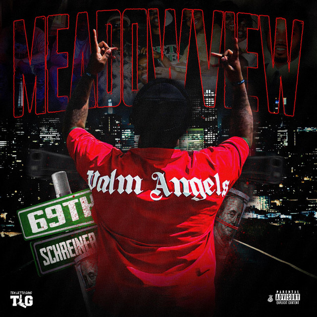 MEADOWVIEW cover art