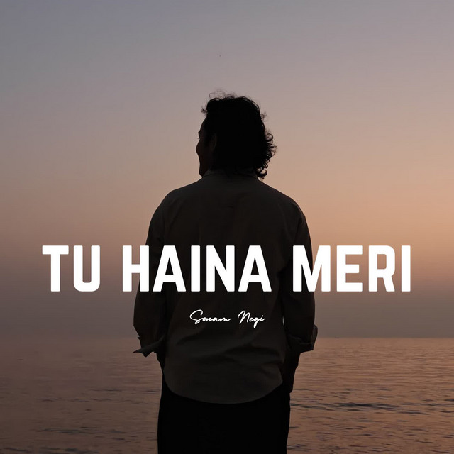 Tu Haina Meri