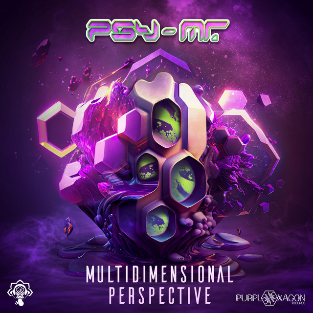Multidimensional Perspective cover