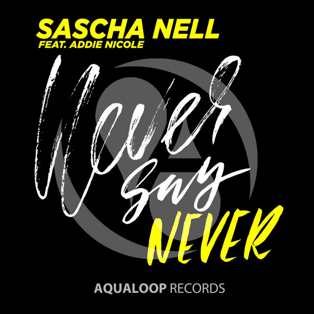 Never Say Never - Hands up Edit cover art