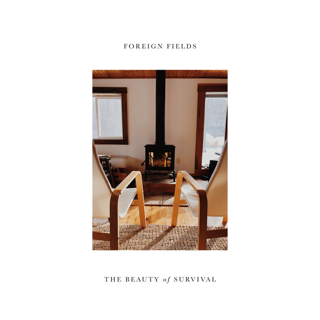 The Beauty of Survival cover art