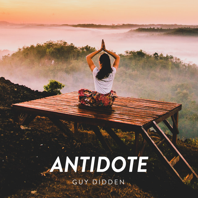Antidote cover art