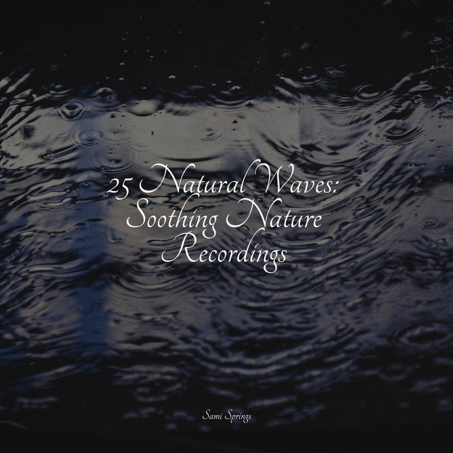 25 Natural Waves: Soothing Nature Recordings - Album by Sounds Of ...