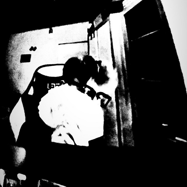 Pidurdad cover art
