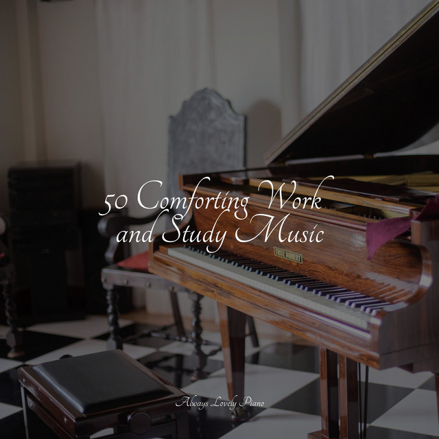 50 Comforting Work and Study Music - Album by Canciones de Cuna Relax ...