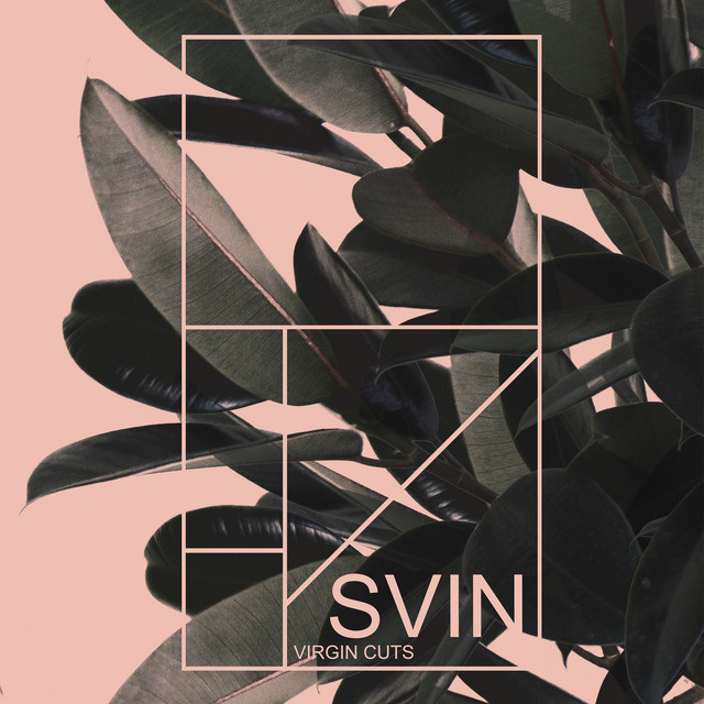 Virgin Cuts cover art