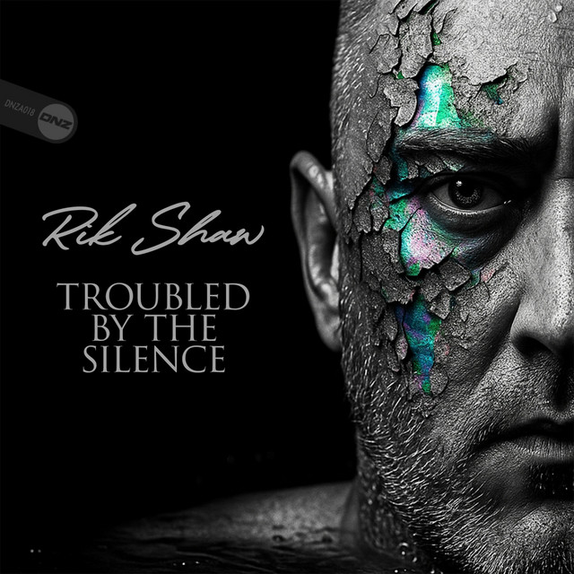 Troubled By The Silence cover art