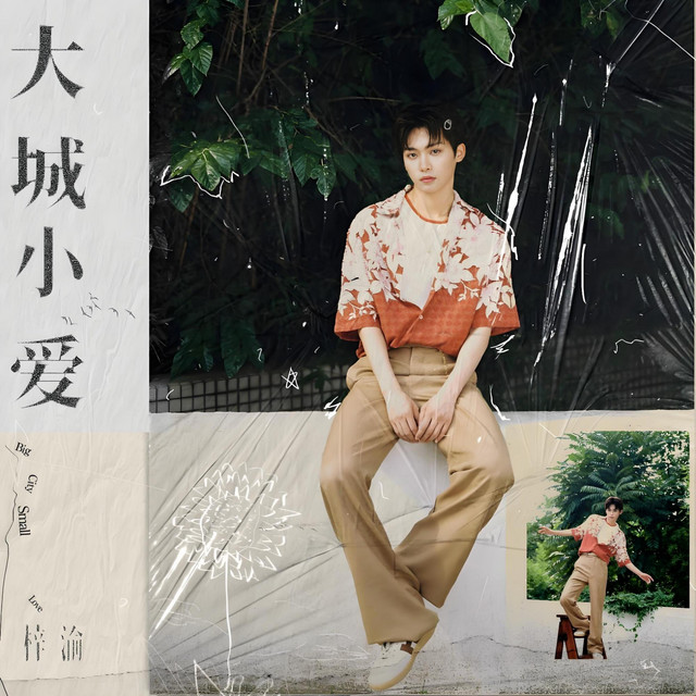 大城小爱 cover art