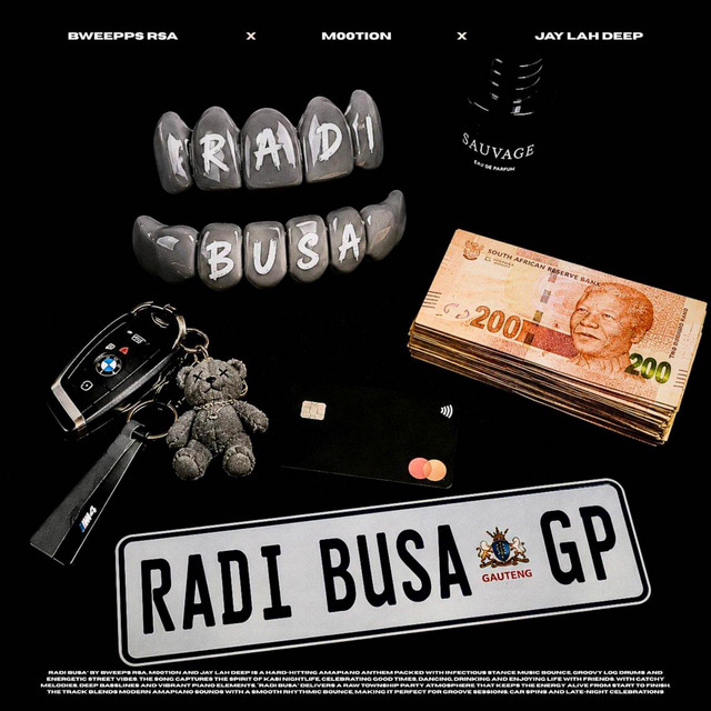 Radi busa