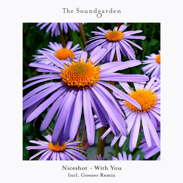With You - Gowzer Extended Remix album art