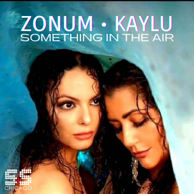 Something In The Air cover art