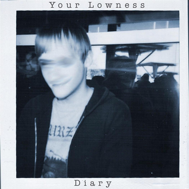 Diary cover