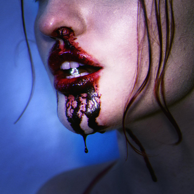 Blutdiamant cover art