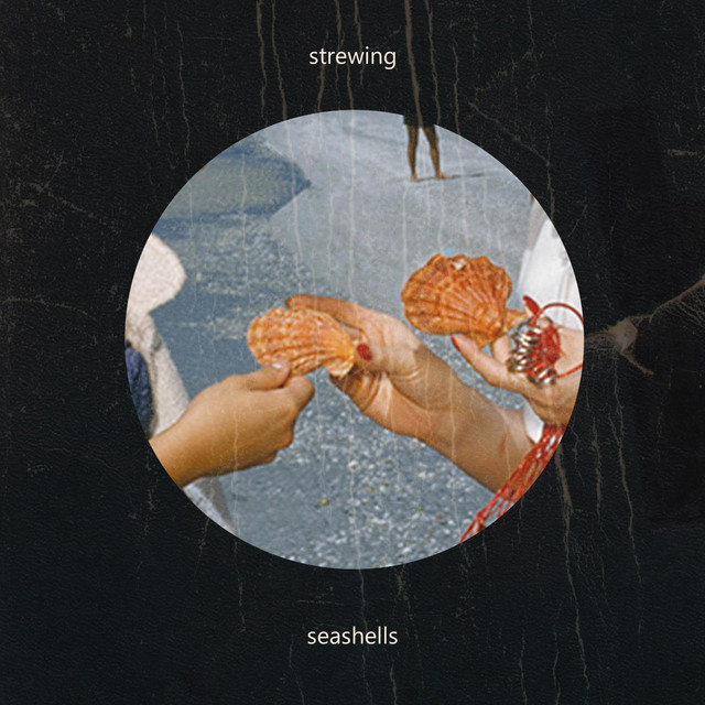 Seashells