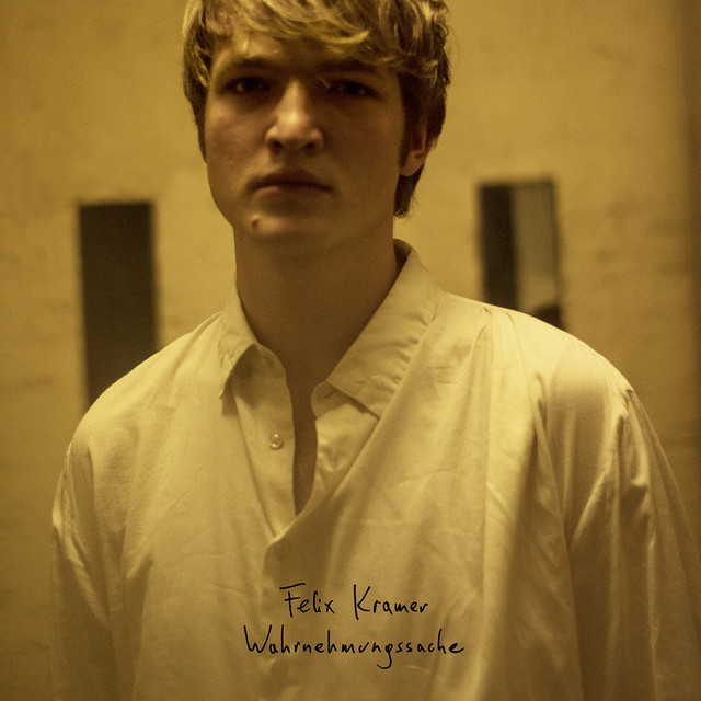 Wahrnehmungssache cover art
