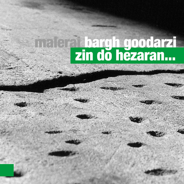 Malerai Bargh Goodarzi