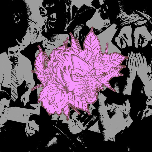 Circle of Mind cover art