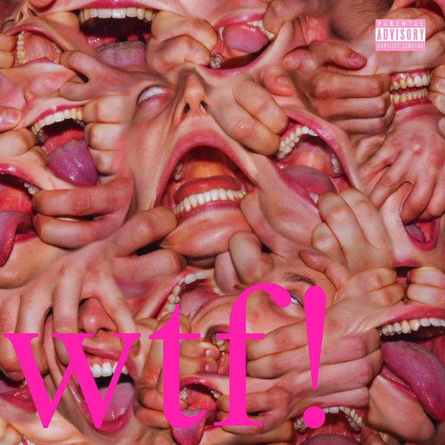 WTF!!! cover art