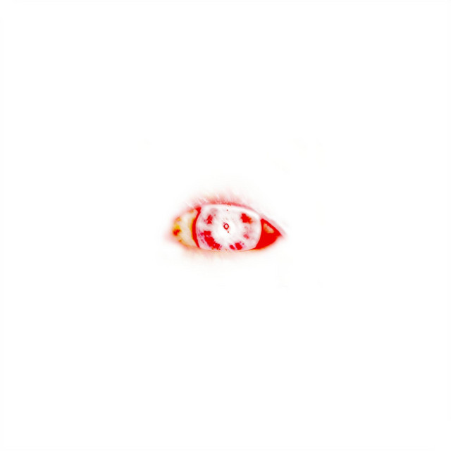 veggente cover art