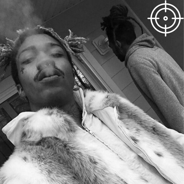 fur coat cover art