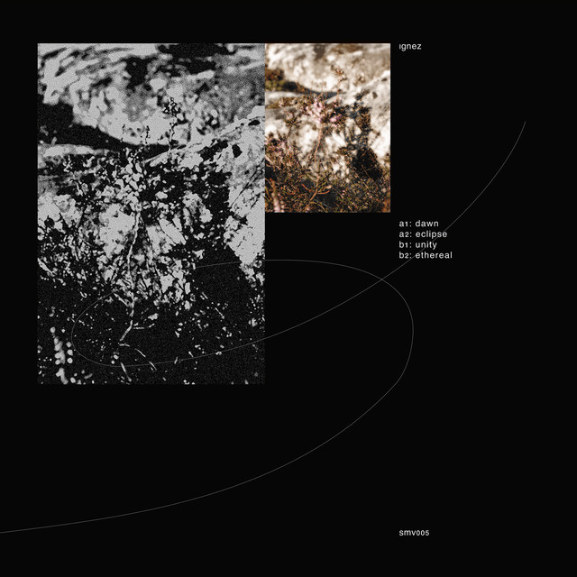 Cover du titre Dawn