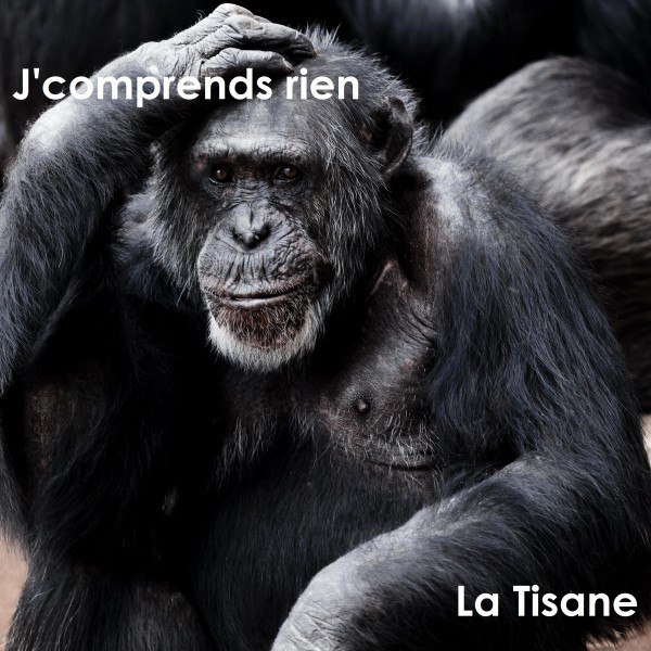 J'comprends rien cover