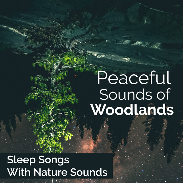 Peaceful Sounds of Woodlands - Album by Sleep Songs with Nature Sounds ...